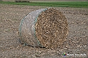 VBS_7684 - Andare lontano, oltre i campi da arare... e ancora più in là
